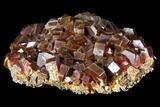 Gorgeous, Red Vanadinite Crystal Cluster - Morocco #127651-2
